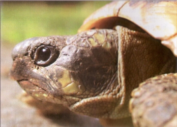 ap2009b.JPG