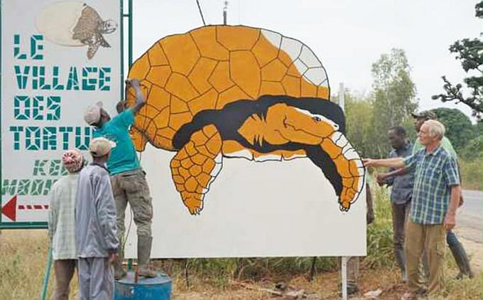A large effigy of a Sulcata Tortoise being erected to encourage visitors to the Sulcata Tortoise Village. A large effigy of a Sulcata Tortoise being erected to encourage visitors to the Sulcata Tortoise Village.
