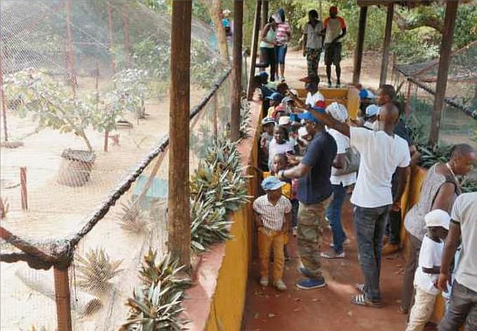 Many local school classes and their teachers are now visiting the Sulcata Tortoise Village Many local school classes and their teachers are now visiting the Sulcata Tortoise Village