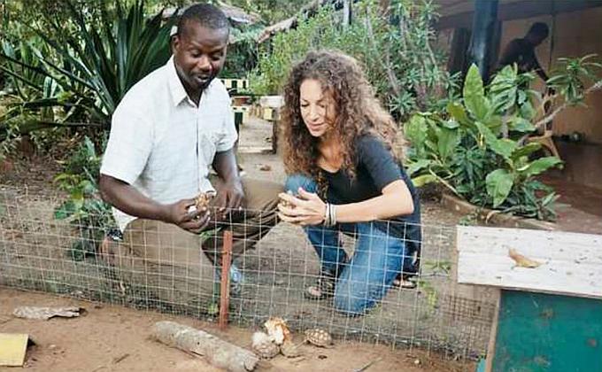 In the nursery one of the staff is showing some of the Sulcata offspring to Farah Vercouter In the nursery one of the staff is showing some of the Sulcata offspring to Farah Vercouter