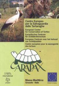 carapax_2003_pu.jpg