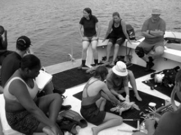 Cayman Islands Department of Environment officers demonstrate turtle tagging at the TCOT workshop.
