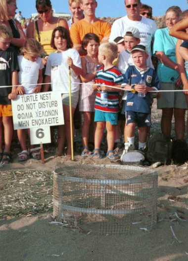 The crowd awaiting an excavation.