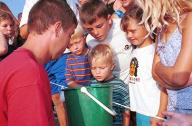 Inspecting the hatchlings in Matt Cascarina's bucket.