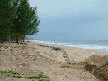 Tsunami