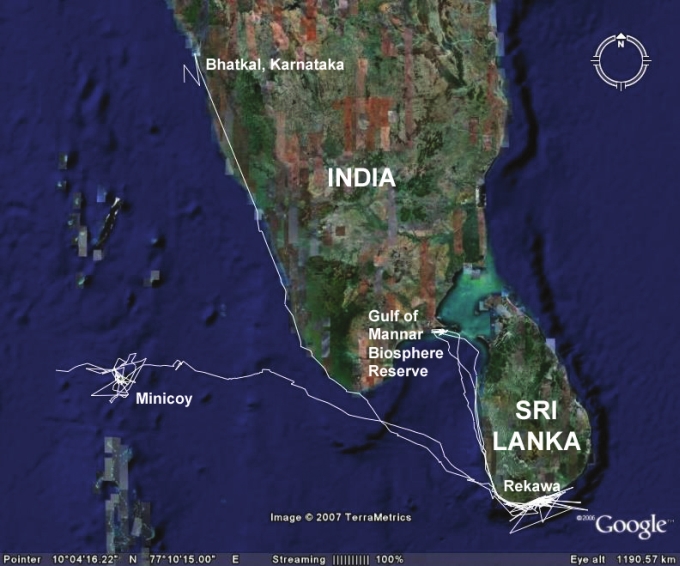 Location of Tracking Area