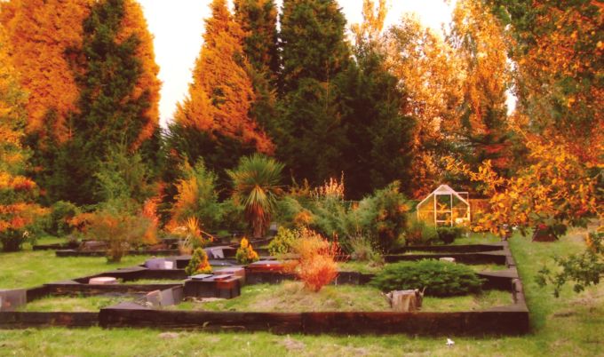 Fig. 9. The tortoise garden at sunset.