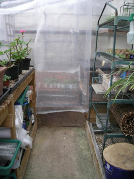 Fig. 6. Greenhouse with partition. The wood is removed to allow the tortoises out.