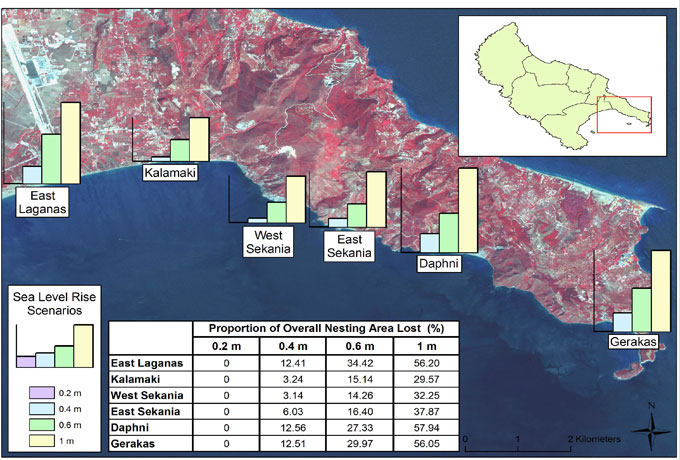 Fig. 3. Proportion of nesting habitat lost to inundation under various SLR scenarios.