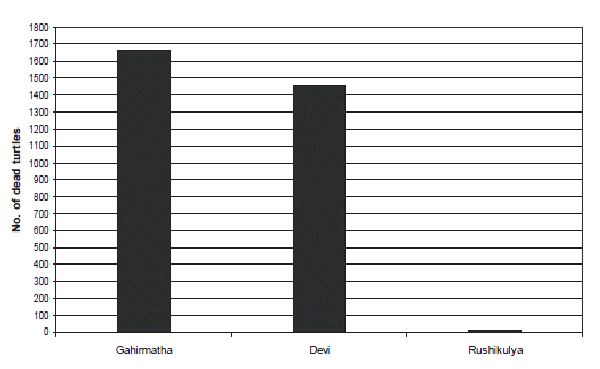 Fig. 6. Olive ridley turtle mortality recorded along the mass nesting rookeries of Orissa.