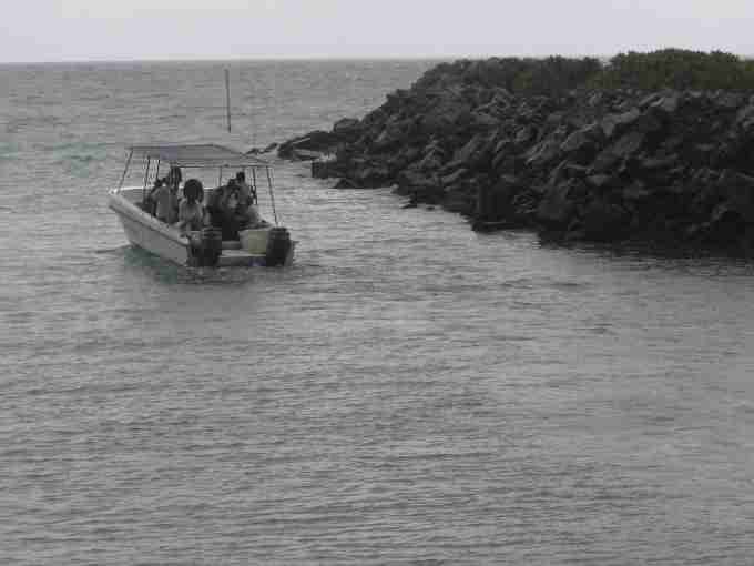 Fig. 9. Sending tortoises to North island. Fig. 9. Sending tortoises to North island.