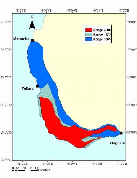 Geographic range of the radiated tortoise. Geographic range of 1865 was inferred from subfossil specimens and 19th century shipping records of tortoise exports (Vinson, 1865; Nussbaum & Raxworthy, 2000); tortoise range in 1975 was established by presence/absence observations (Juvik, 1975; Lewis, 1995). The range in 2000 was estimated from tortoise abundance at 14 sites in southern Madagascar from anecdotal information reported by O’Brien et al. (2003). Fig. 2.