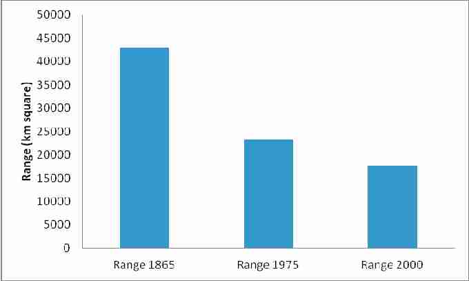 Graphical representation of suspected declining range.