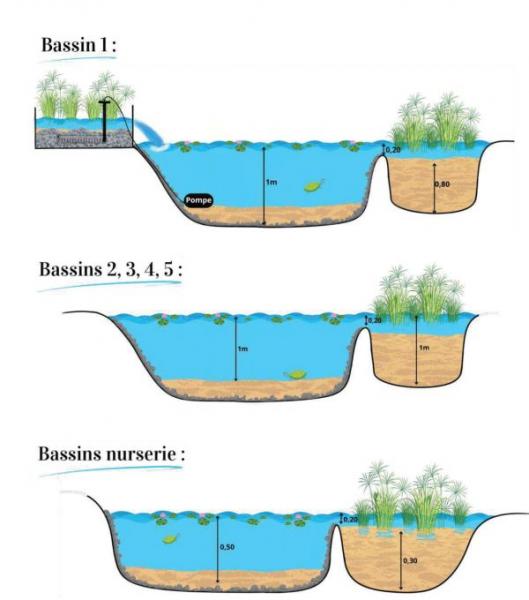 The various ponds